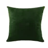 Poduszka dekoracyjna 40x40 velvet welurowa butlekowa zieleń